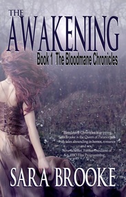 sara brooke author interview for horror website 