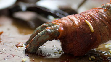 thanatomorphose-horror-film-review-website