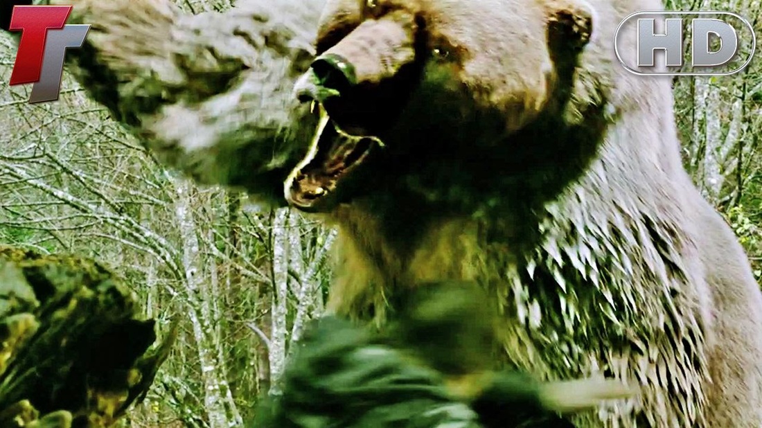 INTO THE GRIZZLY MAZE 