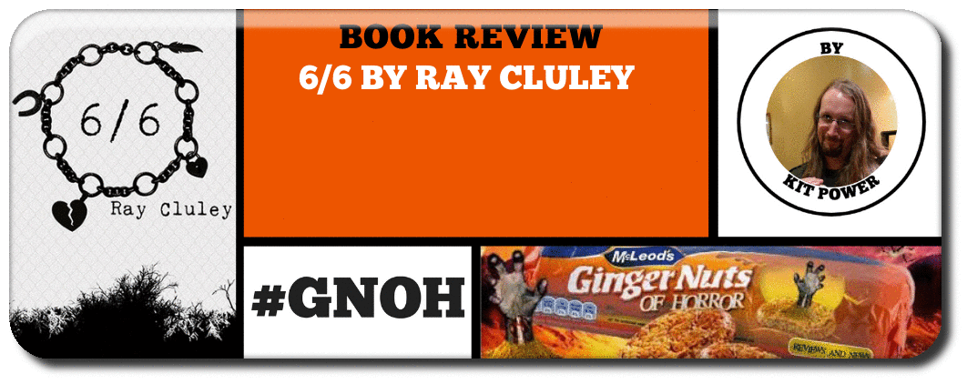 ​6/6 BY RAY CLULEY - BOOK REVIEW 