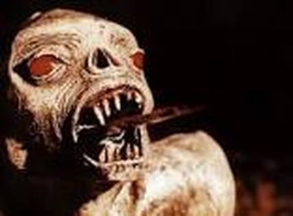 tim dry as xtro monster 