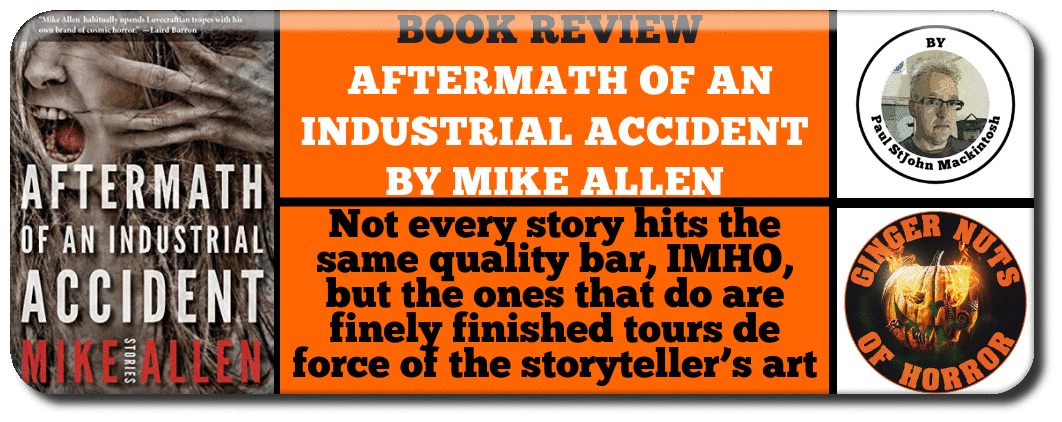 BOOK REVIEW   AFTERMATH OF AN INDUSTRIAL ACCIDENT BY MIKE ALLEN