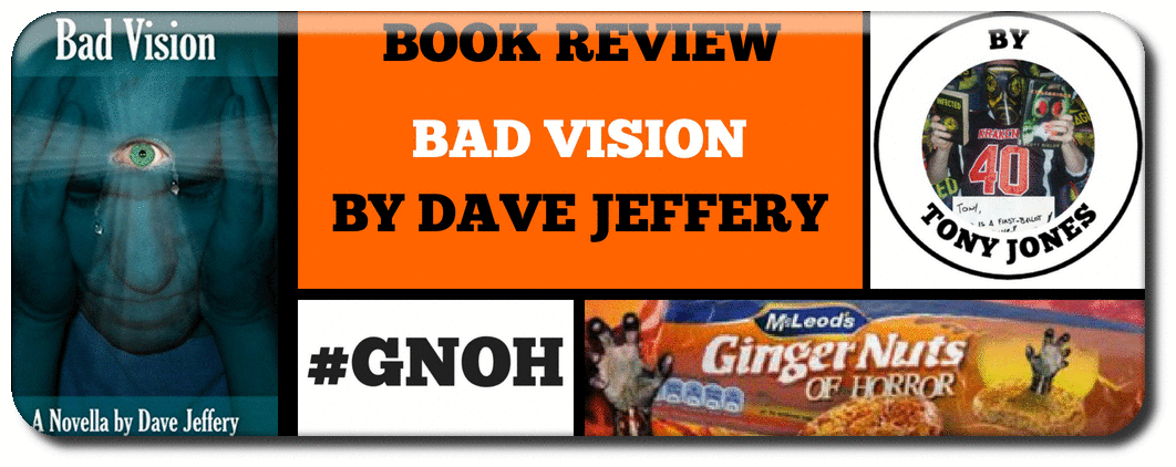 BOOK REVIEW BAD VISION BY ​DAVE JEFFERY Picture