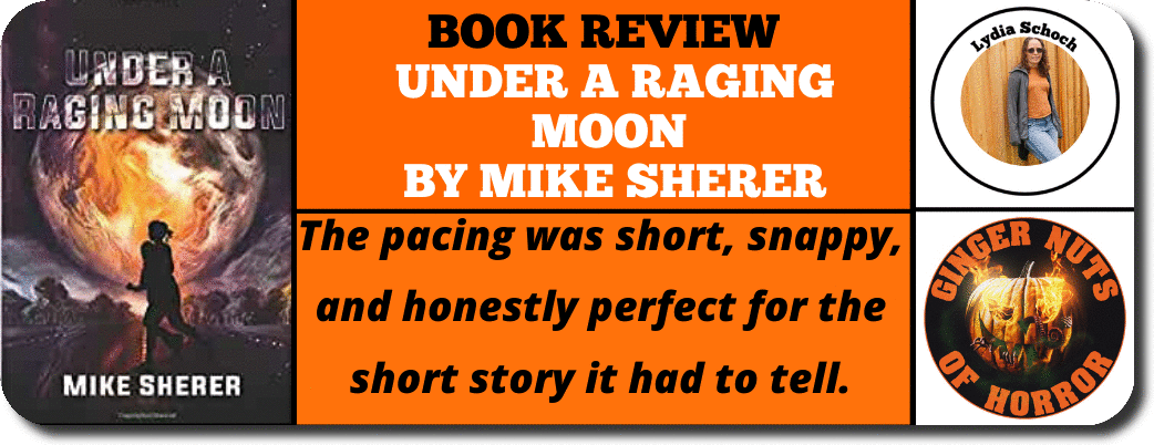 BOOK REVIEW   UNDER A RAGING MOON  BY MIKE SHERER