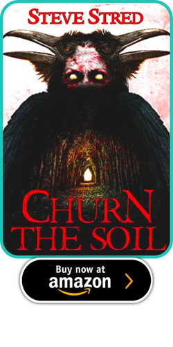 CHURN THE SOIL BY STEVE STRED  (AUTHOR), GREG CHAPMAN (ILLUSTRATOR)  