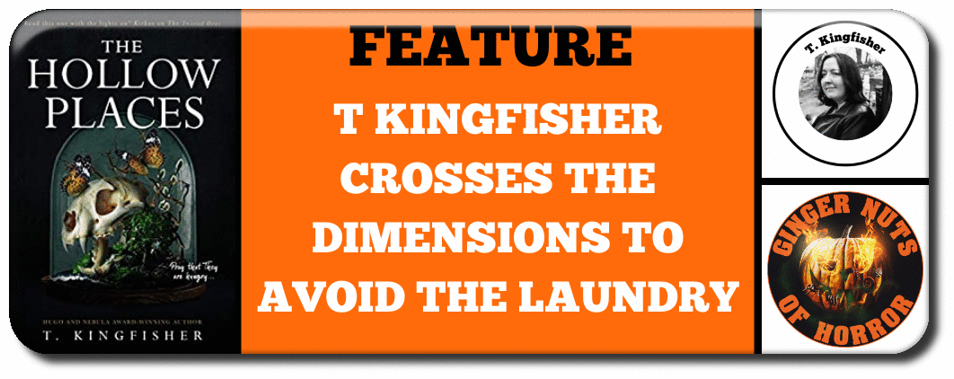FEATURE T KINGFISHER CROSSES THE DIMENSIONS TO AVOID THE LAUNDRY