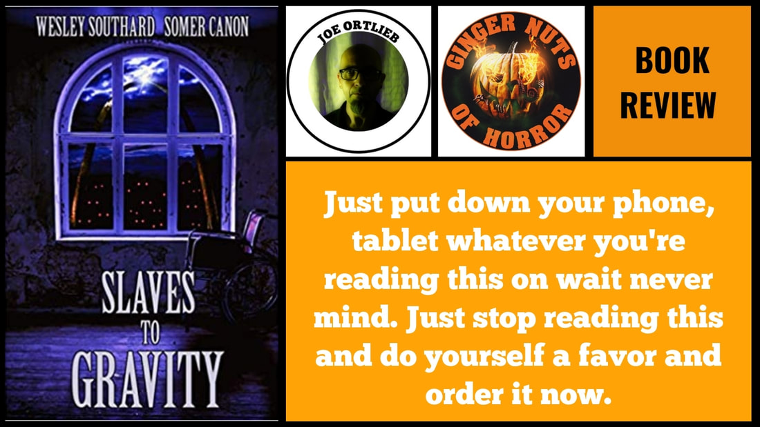 BOOK REVIEW: SLAVES TO GRAVITY BY SOMER CANON   AN WESLEY SOUTHARD