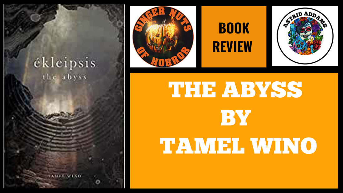 BOOK REVIEW: THE ABYSS BY TAMEL WINO
