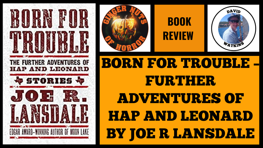 HORROR BOOK REVIEW BORN FOR TROUBLE – FURTHER ADVENTURES OF HAP AND LEONARD BY JOE R LANSDALE