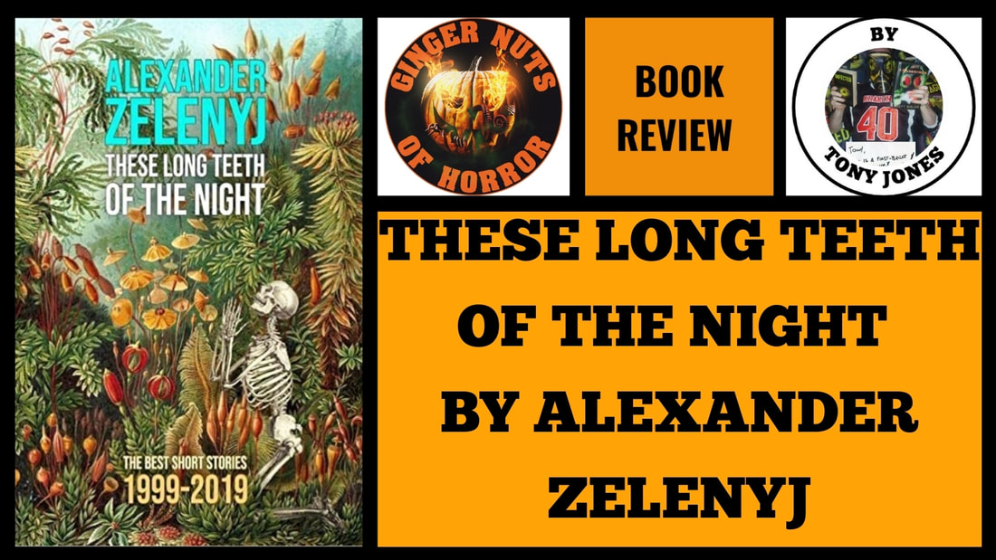 BOOK REVIEW: THESE LONG TEETH OF THE NIGHT BY ALEXANDER ZELENYJ