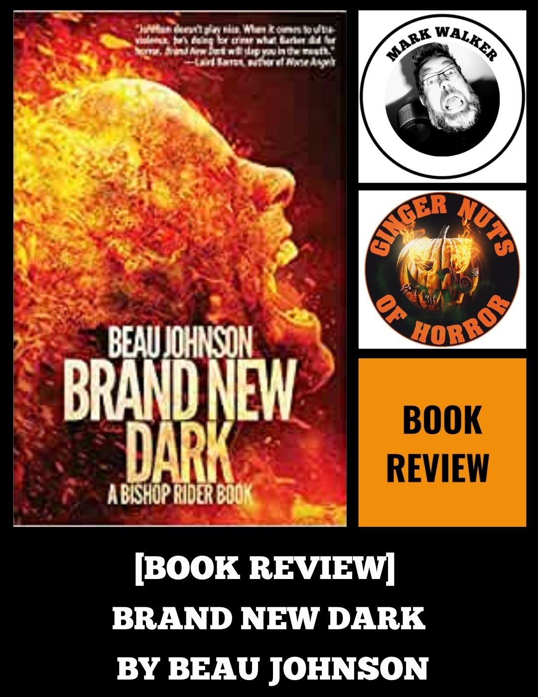 HORROR FICTION REVIEW BRAND NEW DARK- A BISHOP RIDER BOOK BY BEAU JOHNSON