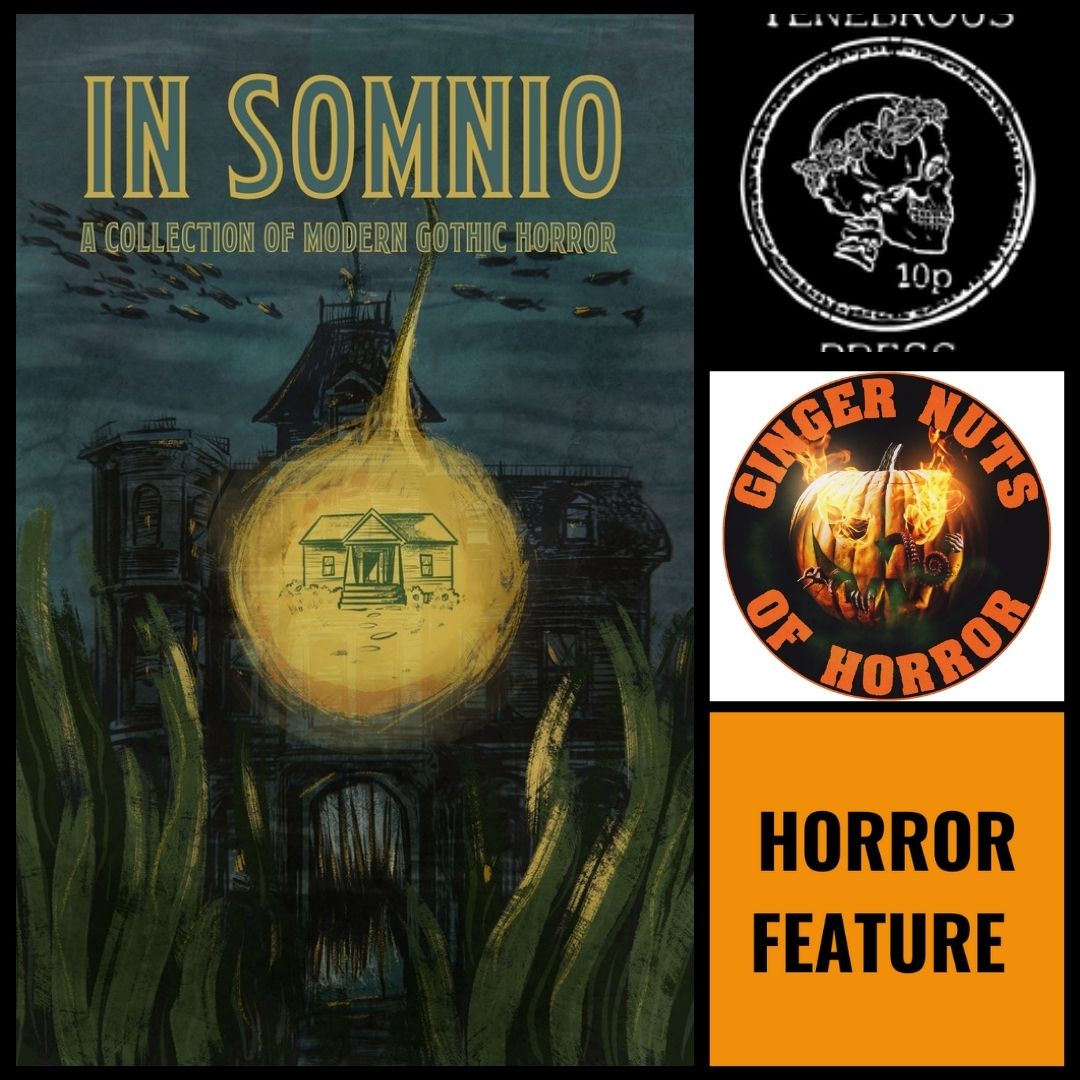 IN SOMNIOA COLLECTION OF MODERN GOTHIC HORROR FICTION