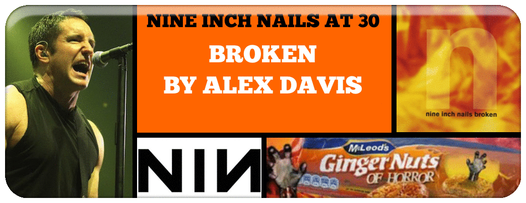 nine-inch-nails-at-30-a-review-series-of-every-nine-inch-nails-album_orig