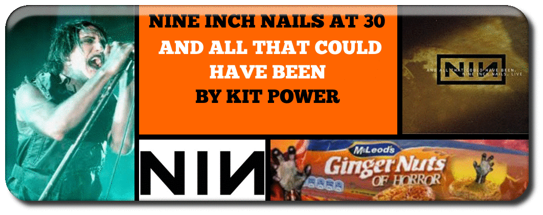 nine-inch-nails-at-30-and-all-that-could-have-been-by-kit-power_orig