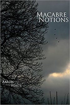 MACABRE NOTIONS BY AARON WHITE